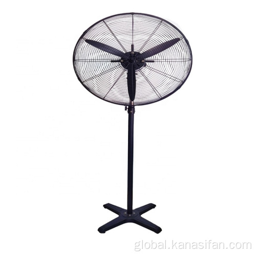 Buy Discount Ventilateur Fan Ventilateur Black Electric Metal Pedestal Stand Fan Factory